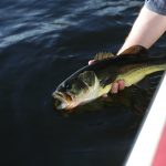 Piscifun Torrent &ndash; Best Budget Baitcasting Reel Review