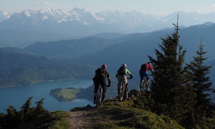 Best MOKFIRE Mountain Bike Helmet What You Need to Know