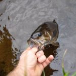 KastKing Baitcasting Reel Are an Excellent Choice