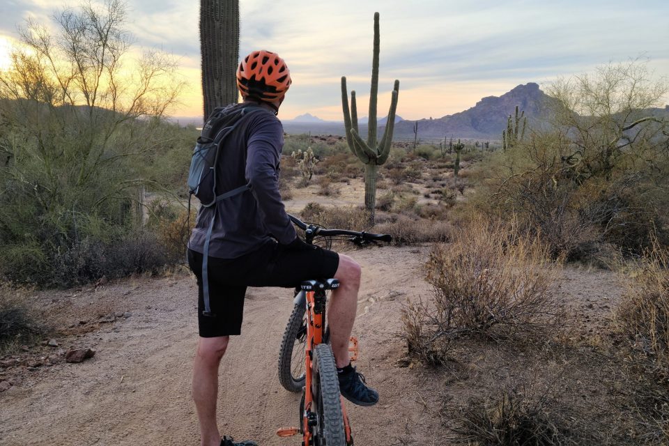 Best Bike Helmets For Adults