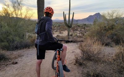 Best Bike Helmets For Adults