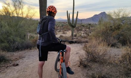 Best Bike Helmets For Adults