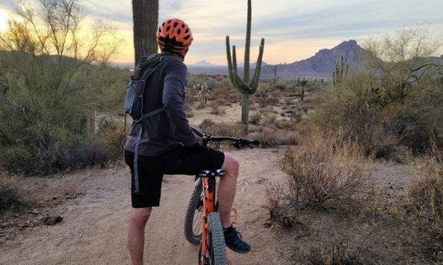 Best Bike Helmets For Adults